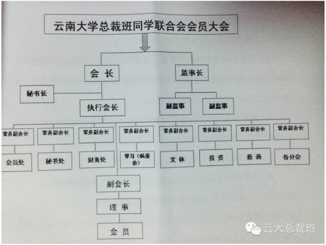 云南大学总裁班联合会人员组织架构